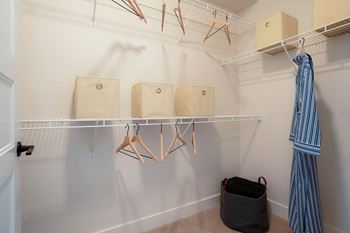 Expansive walk-in closets*